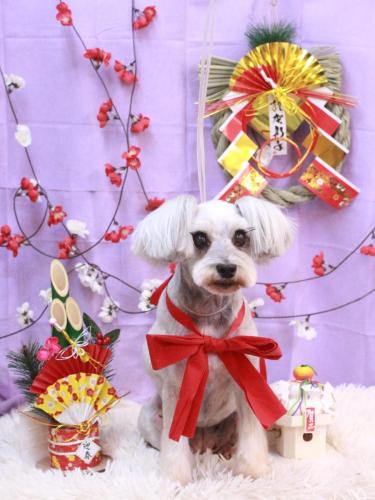 20230122ここちゃん